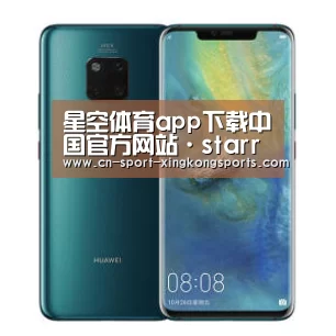 华为无线快充手机