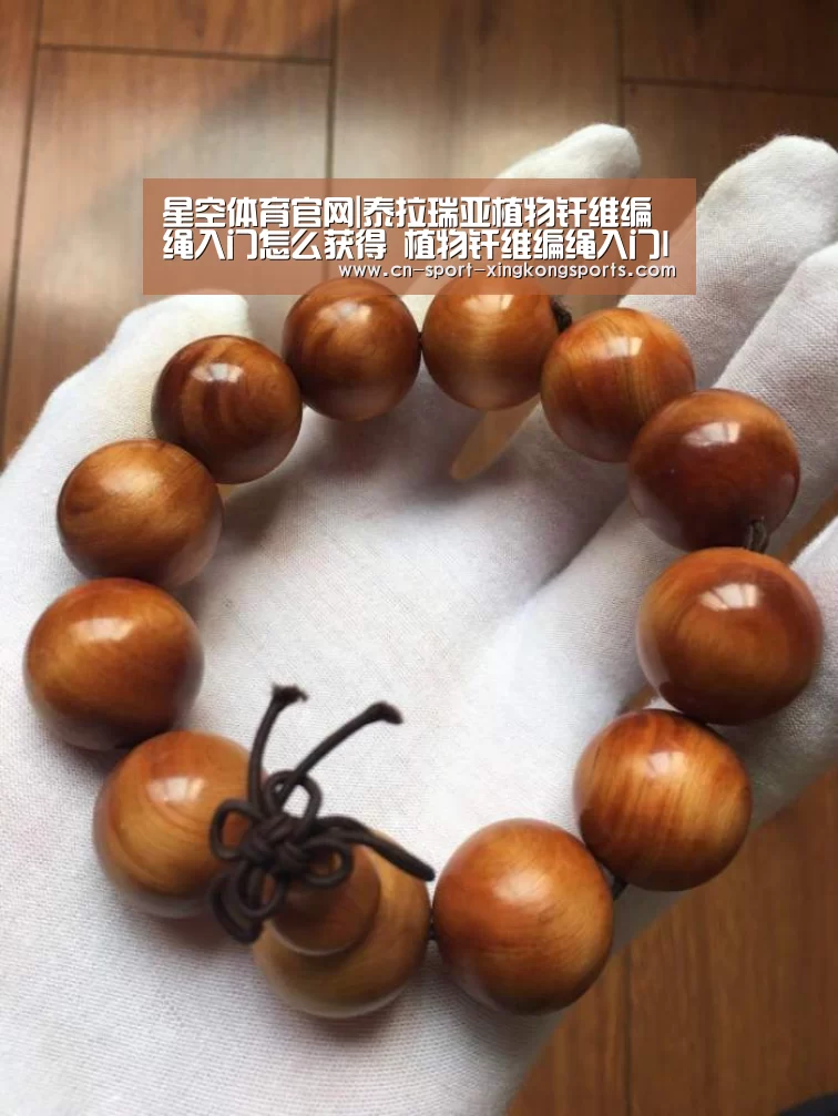 星空体育官网|泰拉瑞亚植物纤维编绳入门怎么获得 植物纤维编绳入门ID与有什么用介绍(图1) 星空体育入口