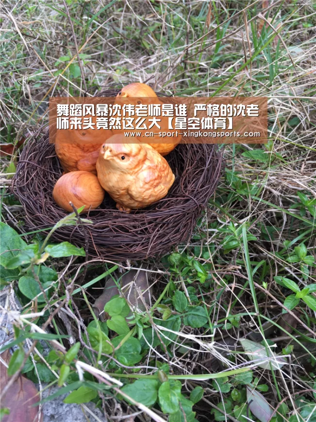 舞蹈风暴沈伟老师是谁 严格的沈老师来头竟然这么大【星空体育】(图2) 星空体育网址