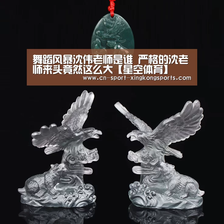 舞蹈风暴沈伟老师是谁 严格的沈老师来头竟然这么大【星空体育】(图3) 星空体育网址