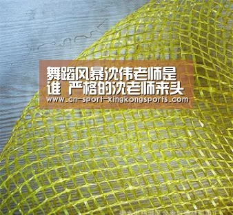 舞蹈风暴沈伟老师是谁 严格的沈老师来头竟然这么大【星空体育】(图4) 星空体育官网